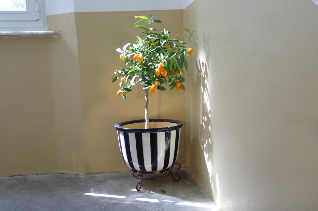 Il 23 Holiday Home La Spezia Exterior photo